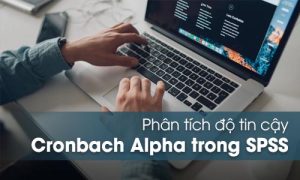 Cronbach’s Alpha trong SPSS: Cách chạy và đọc kết quả
