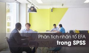 Phân tích EFA trong SPSS: Cách chạy và đọc kết quả